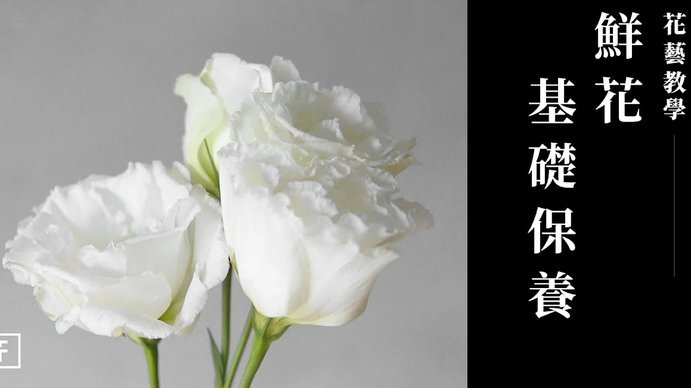 如何安全关闭花呗秒套服务