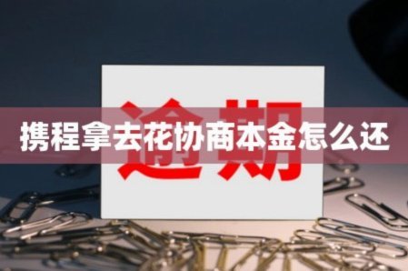 携程拿去花信用购是怎么用的