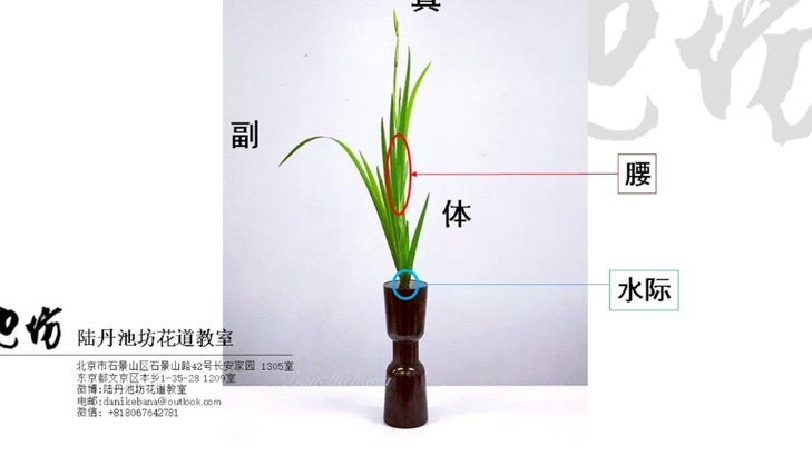 怎样套花呗成现金使用