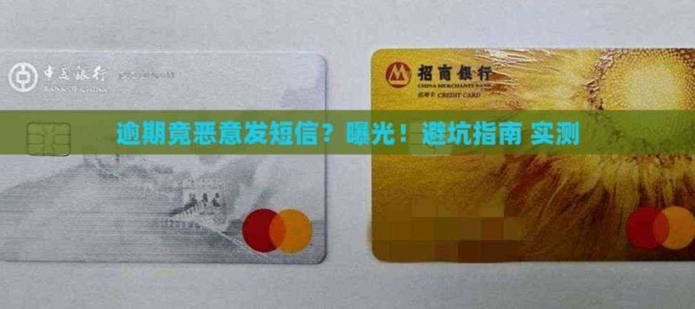 羊小咩逾期被催收：零容忍下的困境