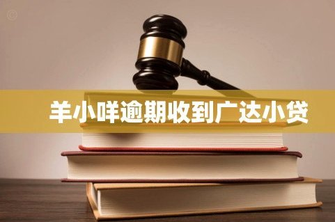 羊小咩逾期一天被催收