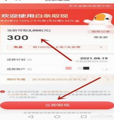 怎么从白条上借钱