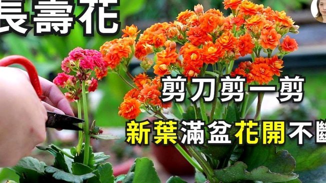 携程花套分期还款注意事项