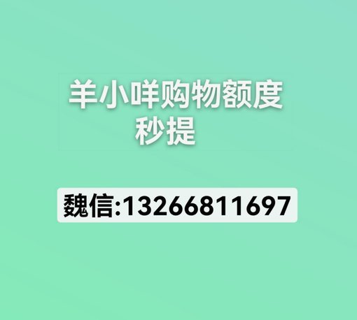 羊小咩如何提升借款额度