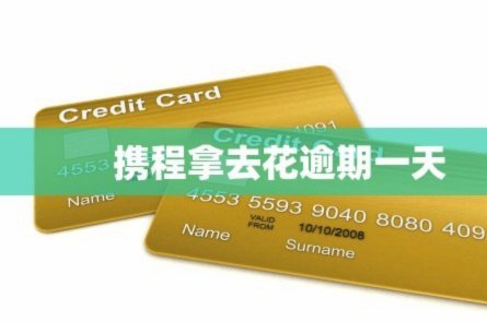 拿去花还款找哪里？认准官方渠道，保障资金与征信安全