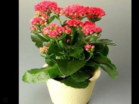 拿去花能套现吗？