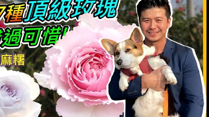 取现功能突然消失了？可能是这四种原因！