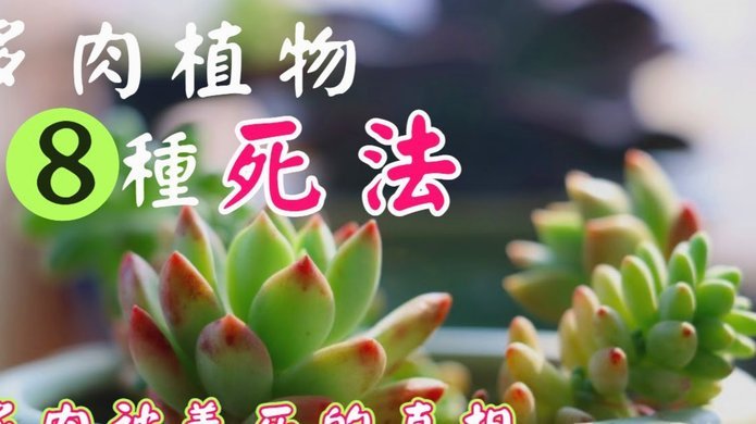 花呗出现异常是什么原因呢