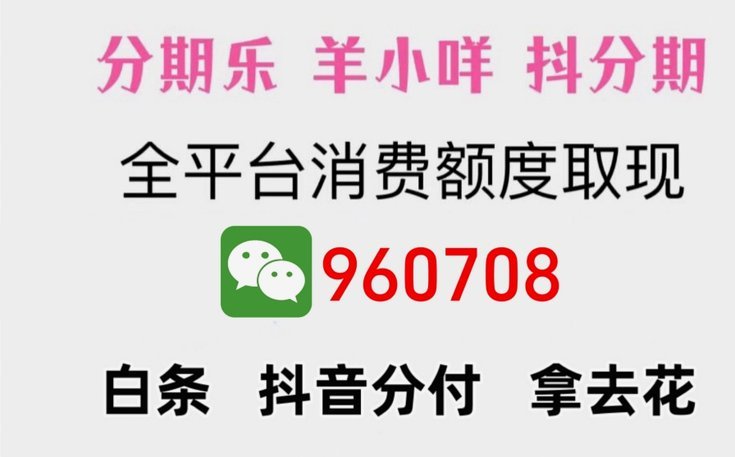羊小咩额度怎么使用