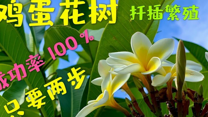 拿去花能取现吗 平台可靠吗