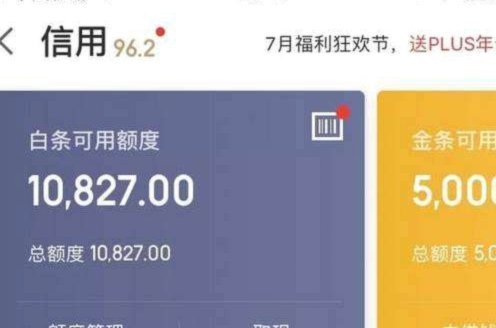 白条额度如何查询与调整
