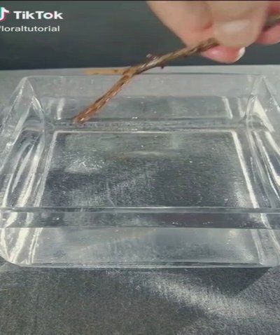 携程拿去花使用问题解析