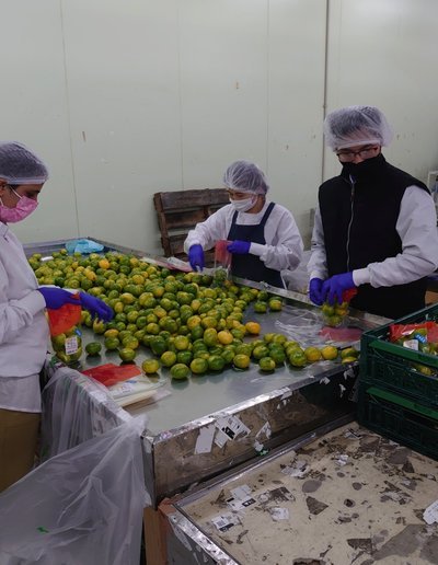 美团药10000提现指南