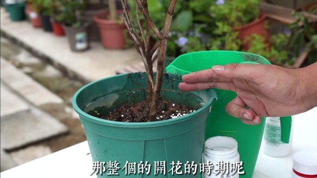 携程拿去花怎么提现攻略