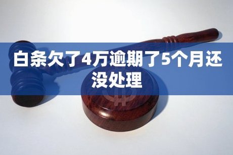 白条逾期怎么协商延期 套现