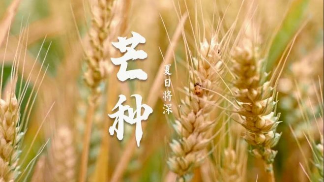 四种步骤必不可少