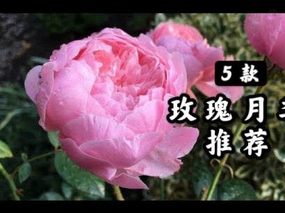 携程拿去花怎么提现 平台的钱