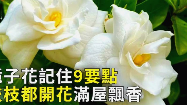没有商家码怎么套花呗