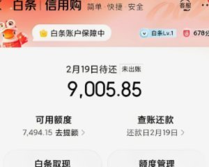 京东白条提现方式 平台是什么