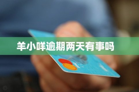 羊小咩为何拿不到借款额度？解析背后的风控逻辑