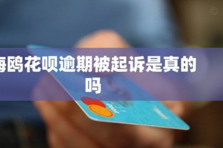 海鸥花呗：阿里巴巴旗下的消费金融分期平台
