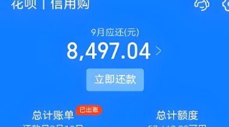 套花呗是什么行为
