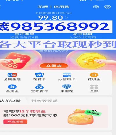 羊小咩购物攻略全解析