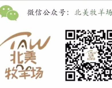 加油包是什么意思啊