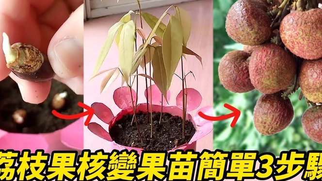 便荔卡提现费：不止是百分比