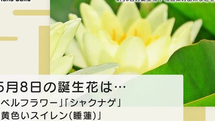 花呗现状与安全探析