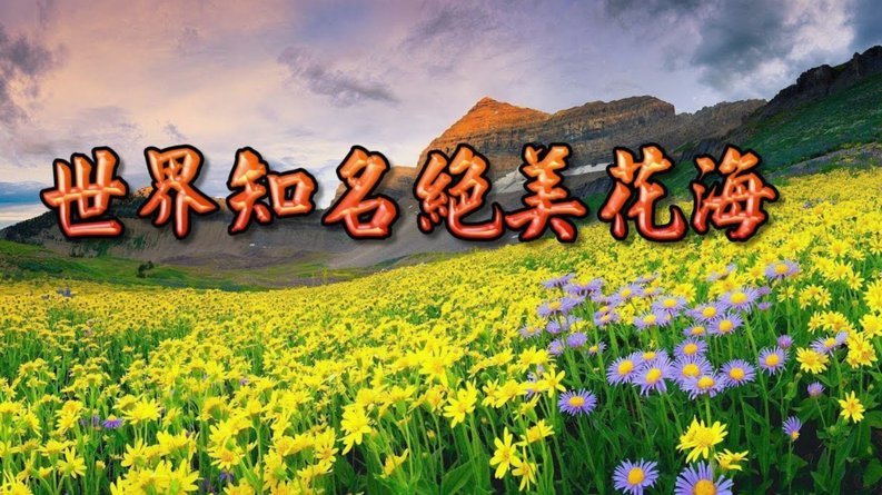 花呗到底还能用吗安全吗