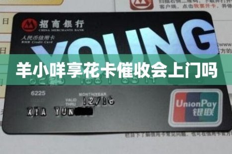 羊小咩享花卡催收猛不猛
