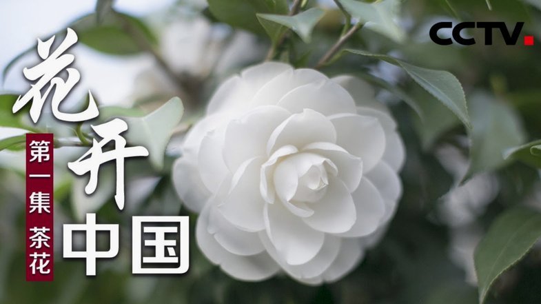 携程拿去花套现专业回收