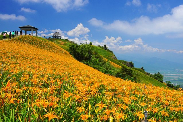 海鸥花呗平台注册地址在哪里