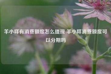 羊小咩提现时间全解析