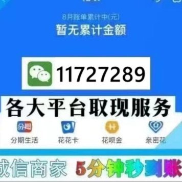 花呗：中国消费金融新选择