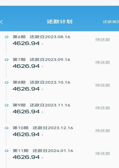 拍拍花借款坑了多少人
