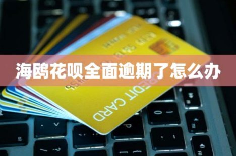 手把手教你如何注销海鸥花呗账号，详细步骤与注意事项详解