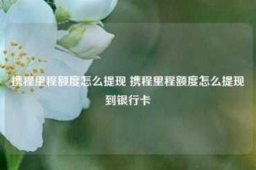 携程拿去花怎么提现 平台的钱呢